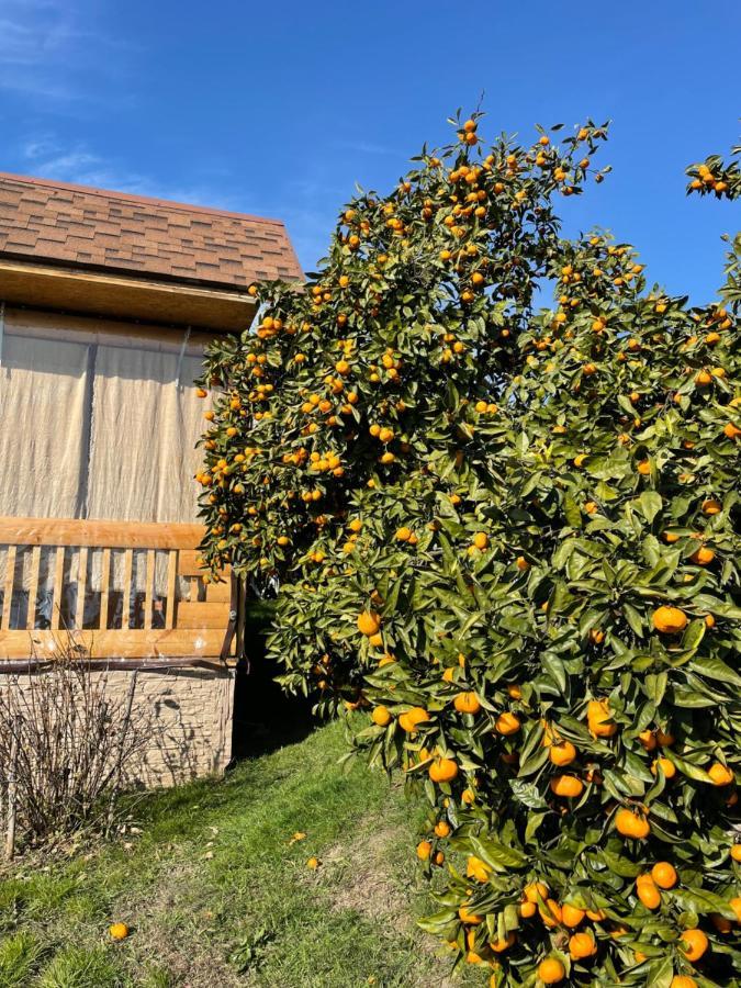 New Athos Holiday Home מראה חיצוני תמונה